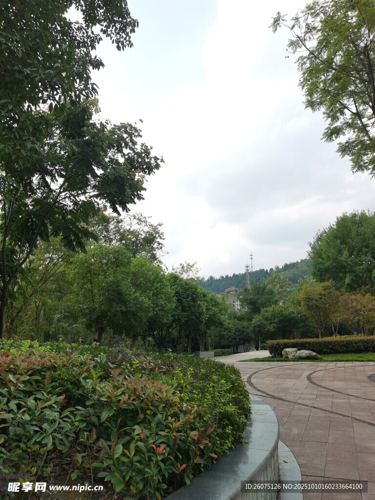 园林小径绿植环绕美景
