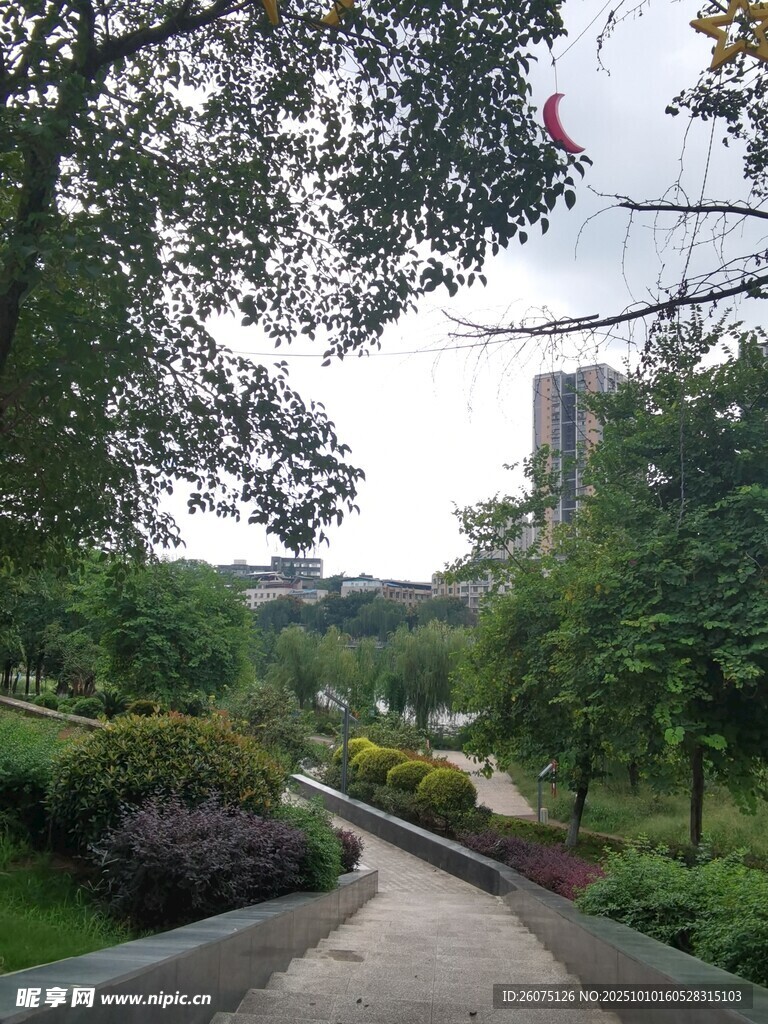 城市中静谧的林荫步道