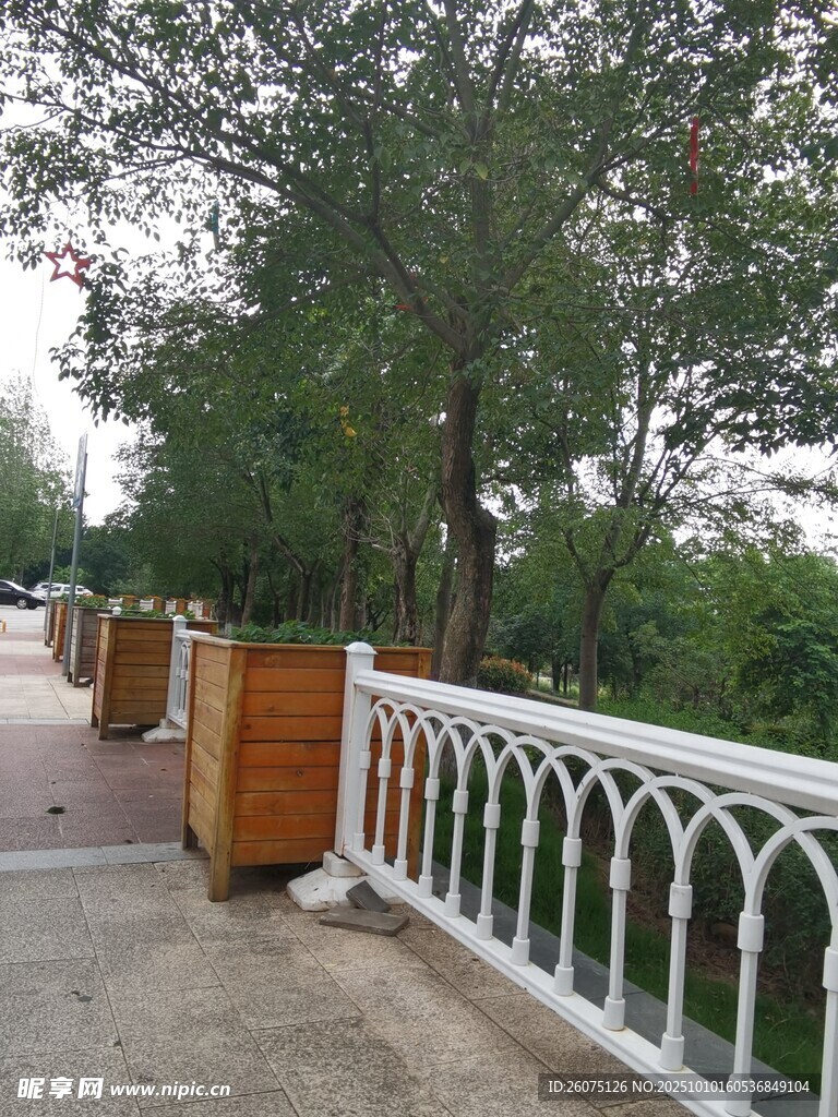 公园白色护栏旁的林荫步道