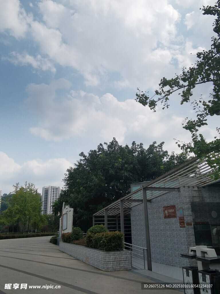 街道旁的低矮建筑与绿树