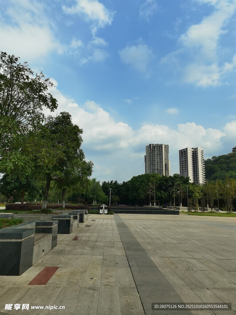 城市开阔广场与绿树景观