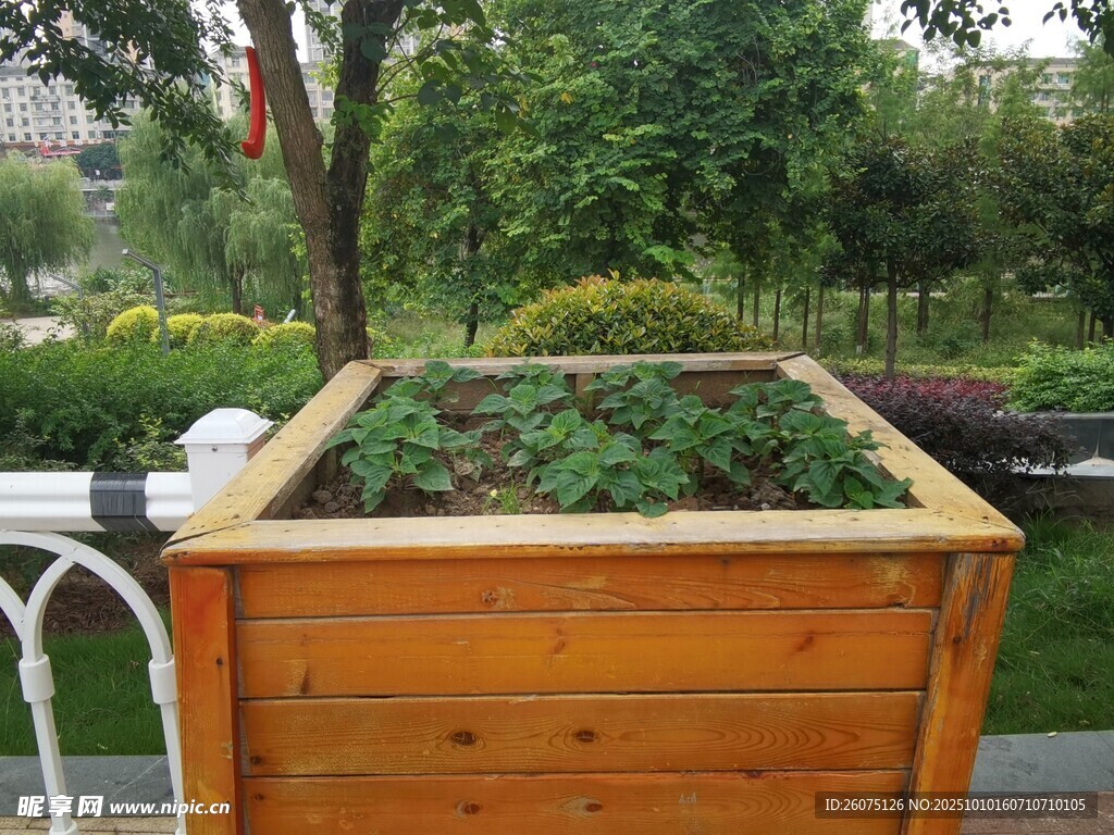 户外木质种植箱绿植景观