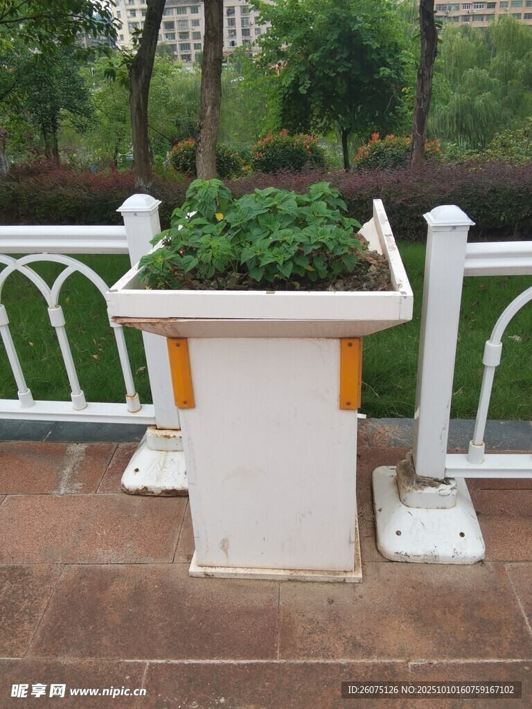 户外白色花箱绿植景观