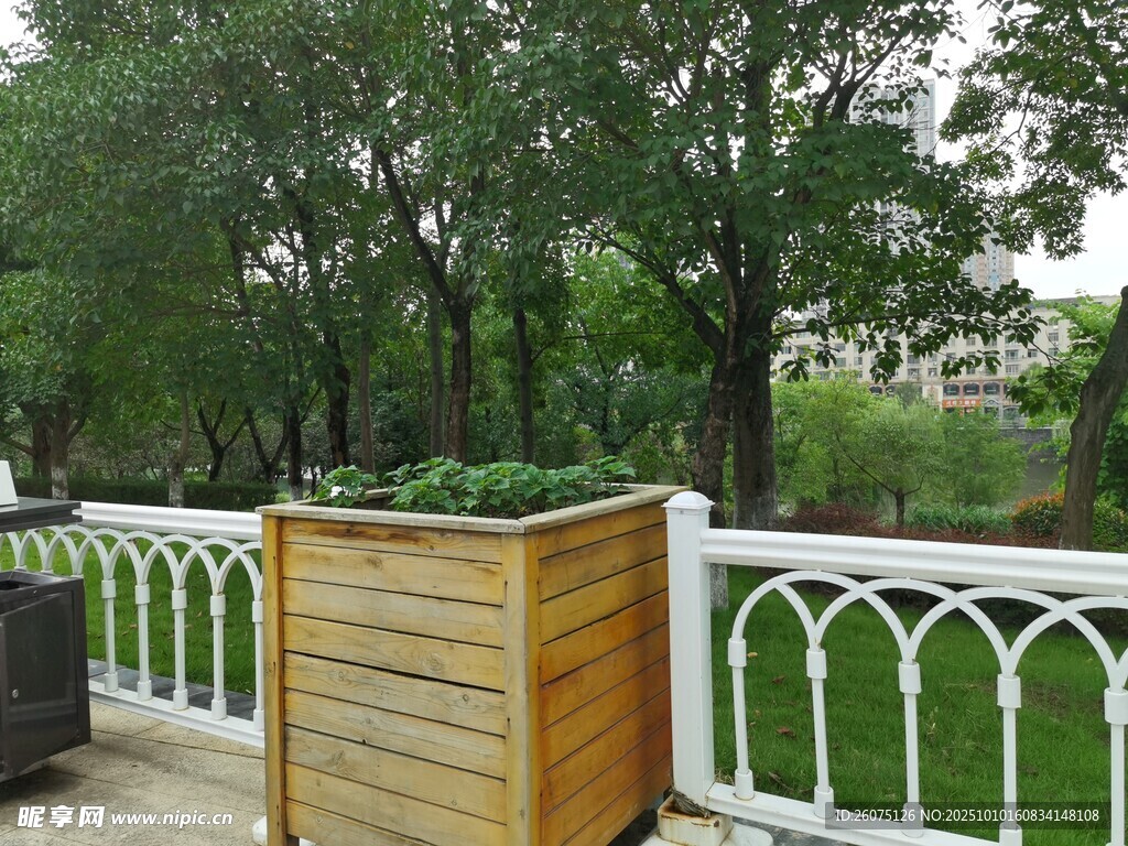 户外木质花箱装点花园景致