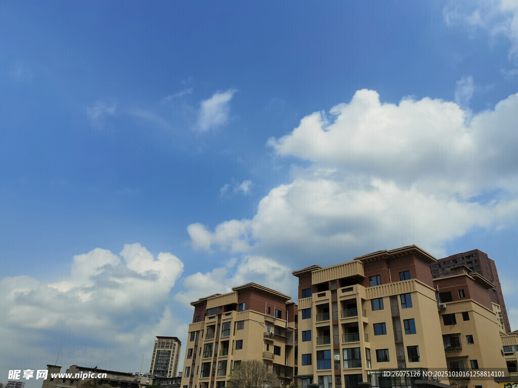 蓝天白云下的城市建筑