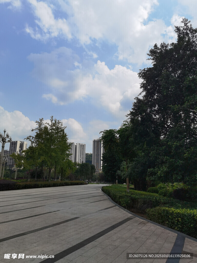 城市中宁静的林荫步道