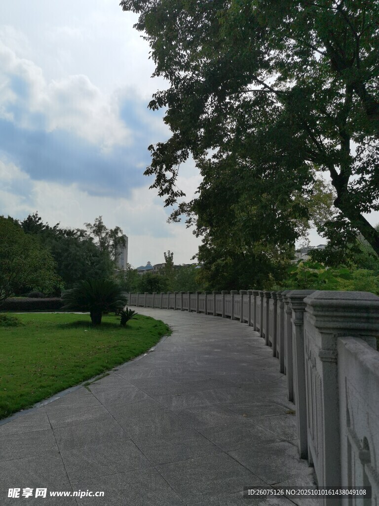 公园小径旁的绿意景致