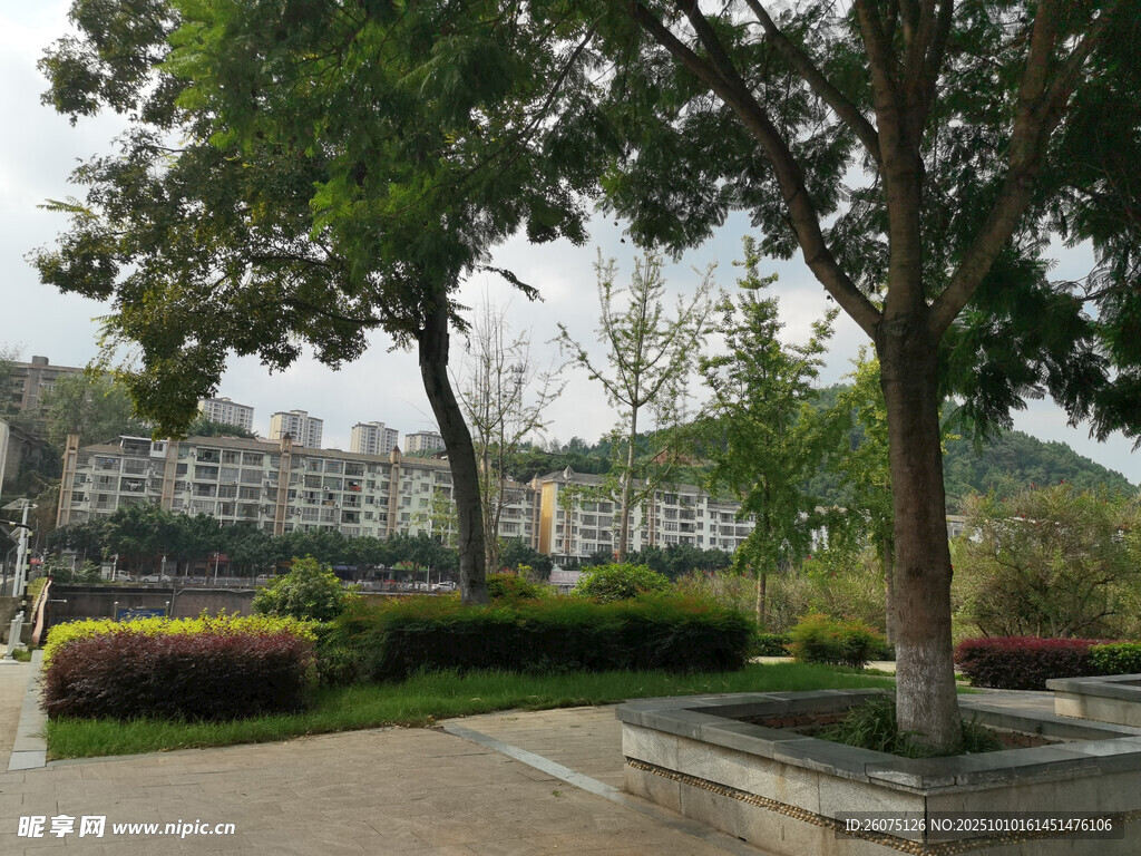 公园中的绿植与建筑景观