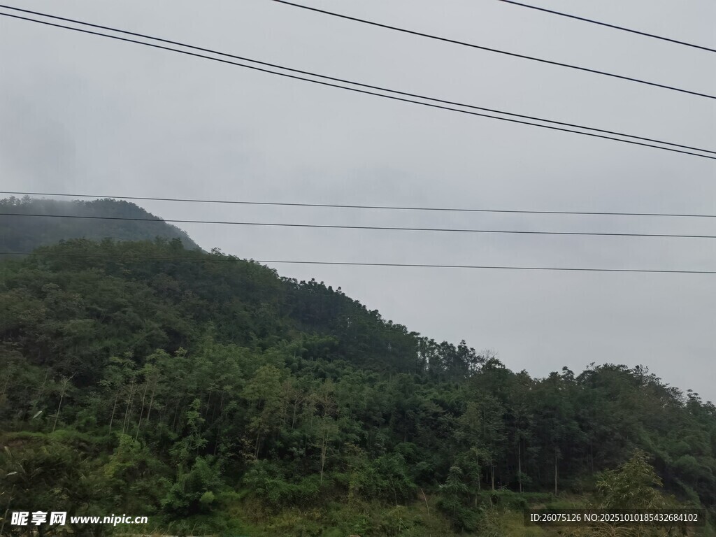 山间云雾缭绕的葱郁山林