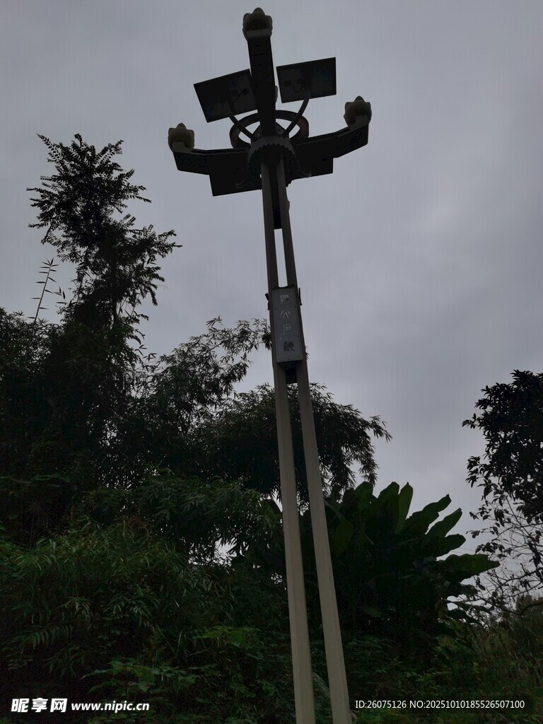 户外监控杆及周边植被