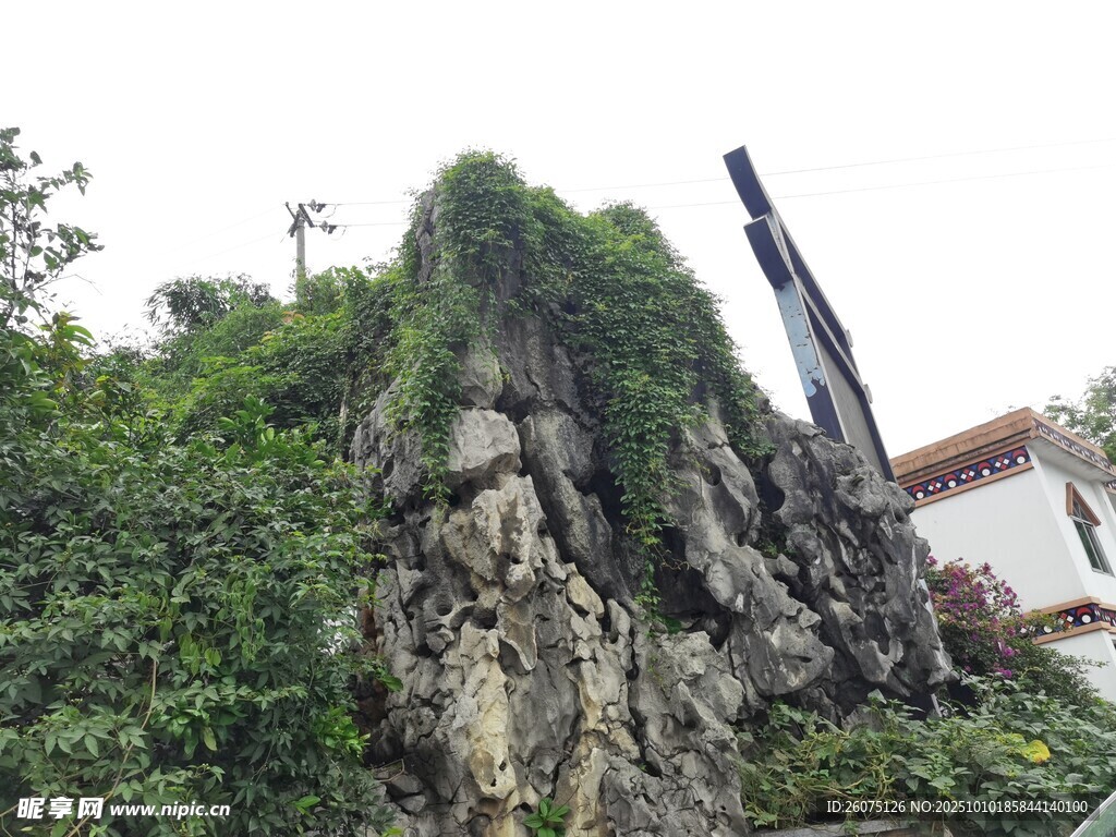 嶙峋山石旁的葱郁植被