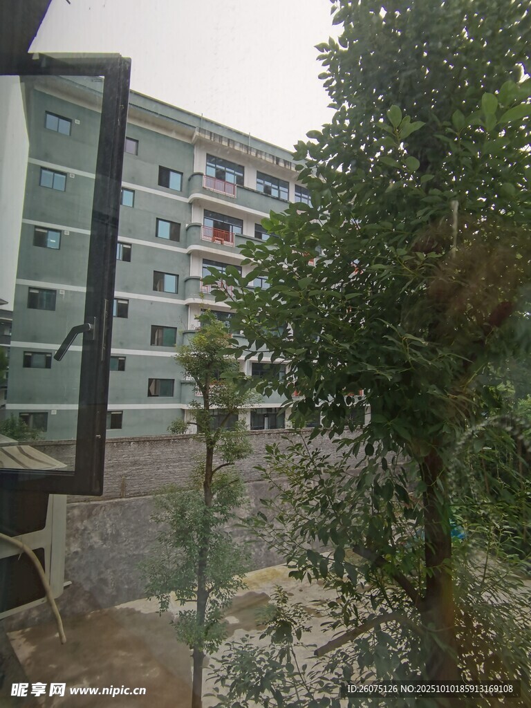 现代建筑旁的绿植景观