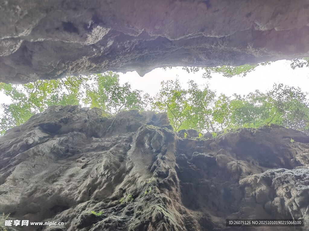 洞穴外绿意盎然的景象