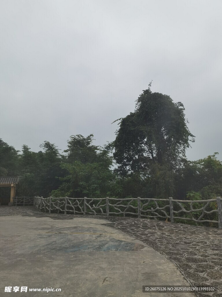 乡村空旷场地与树木景观