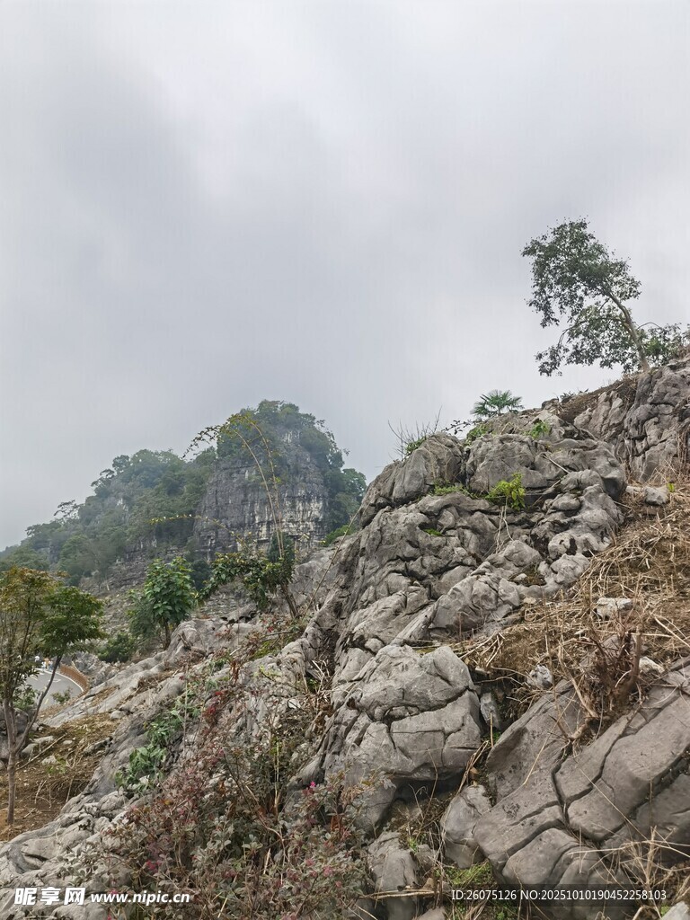 山间嶙峋岩石与孤树