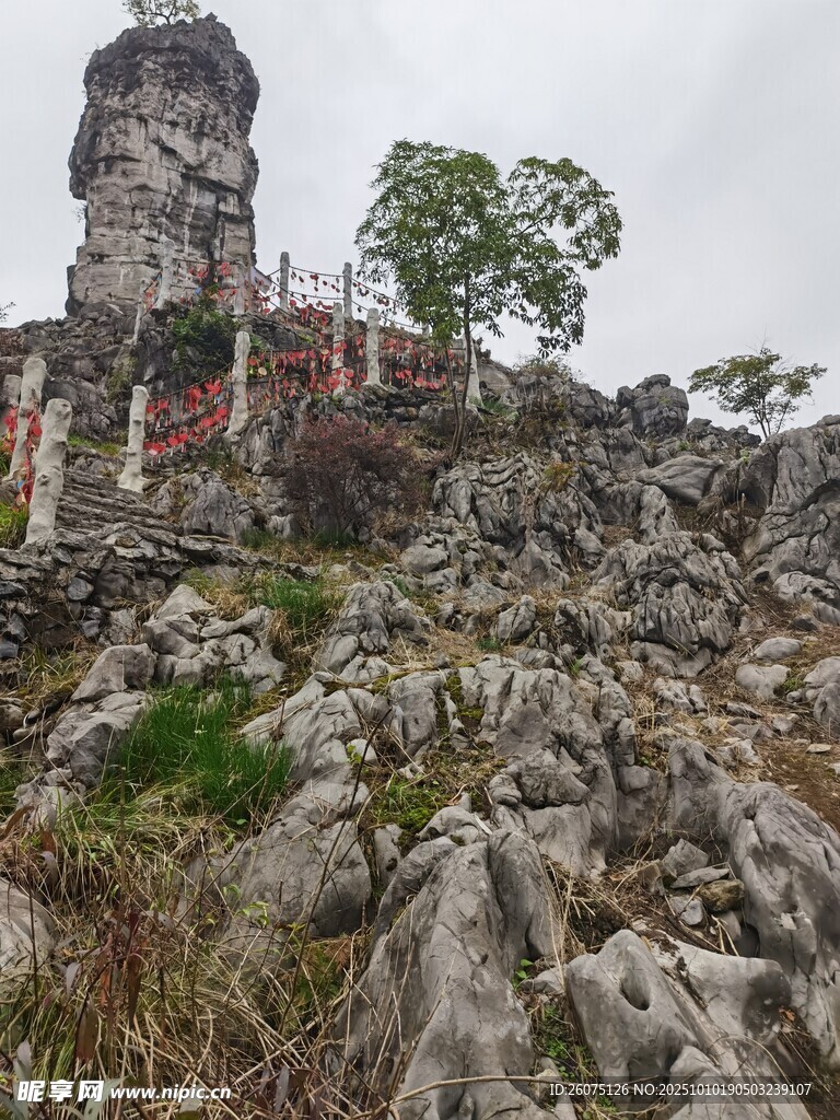 奇特山石景观