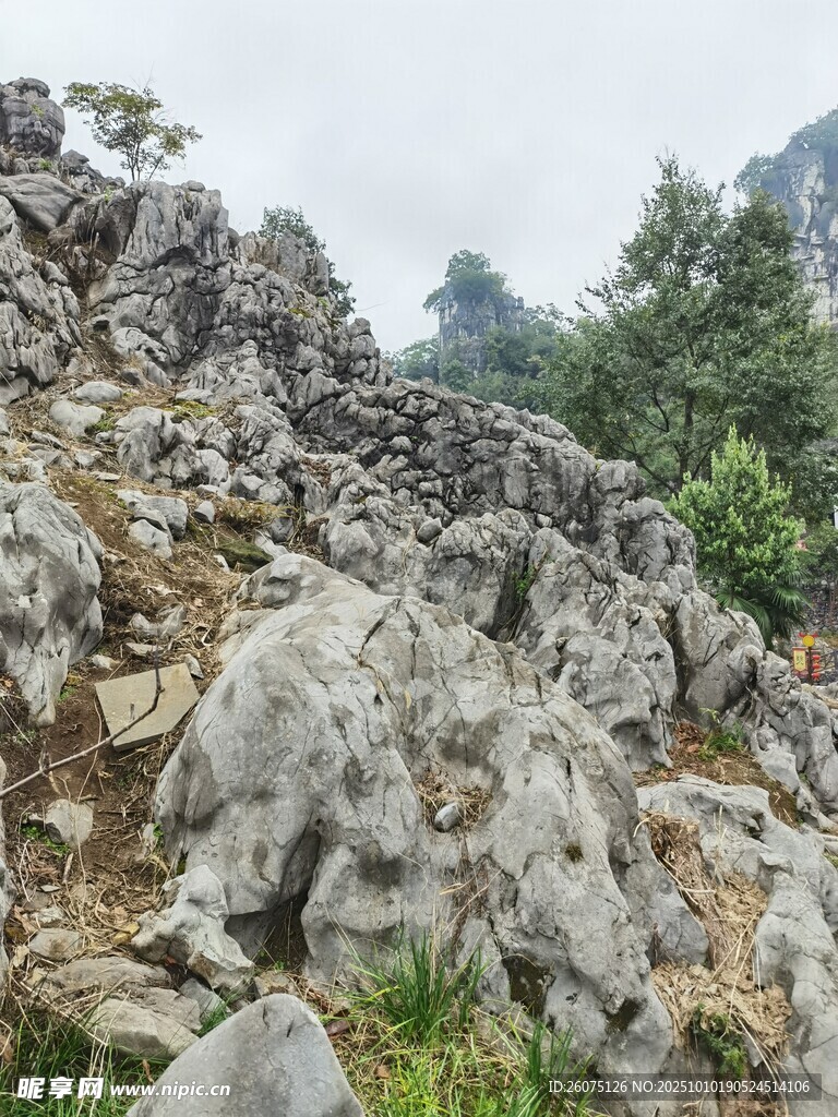 嶙峋山石与山间绿植景观