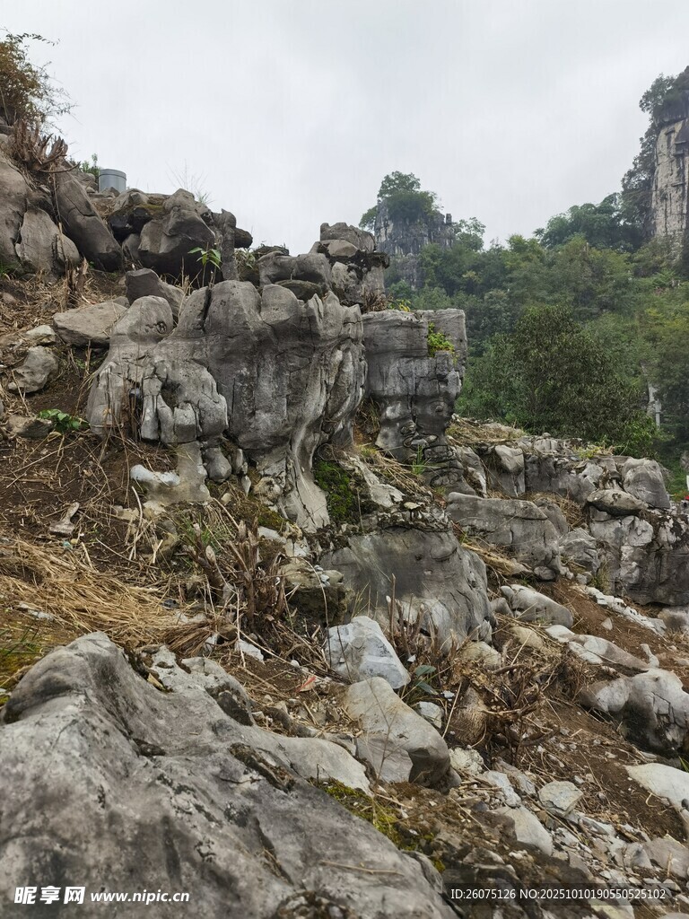 嶙峋山石景观