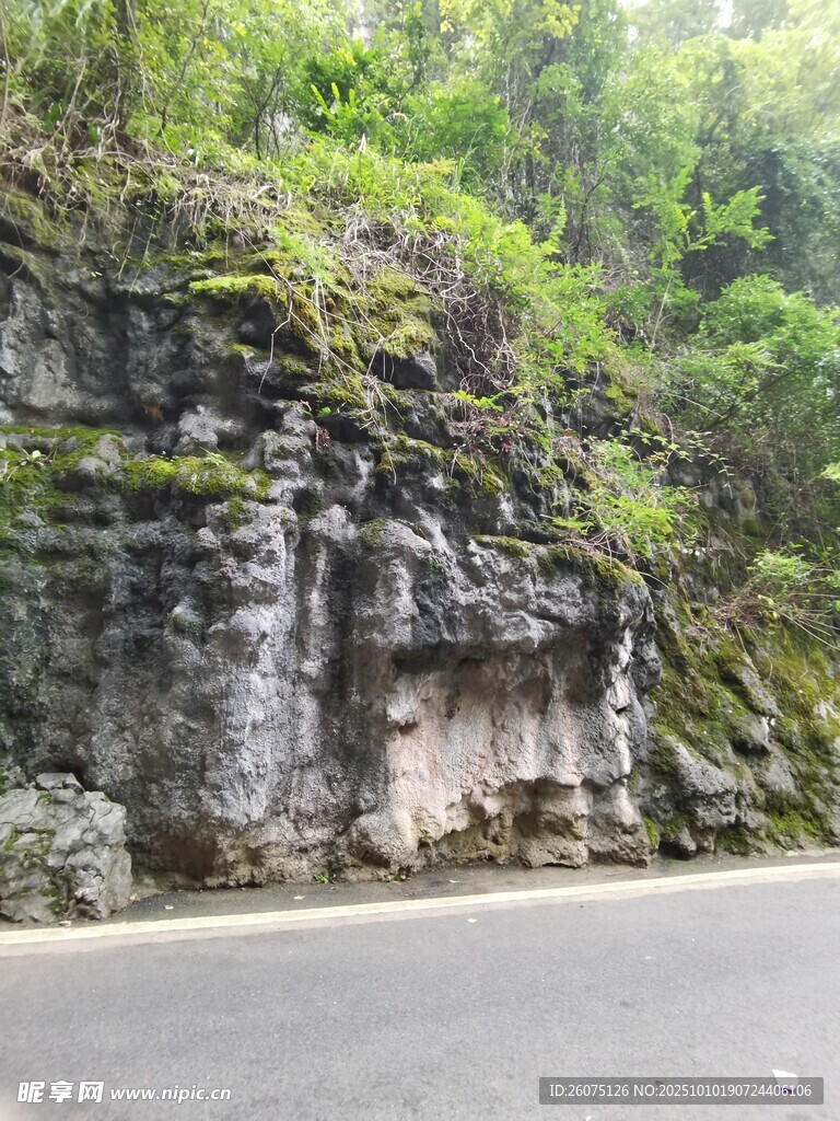 路边峭壁旁的葱郁山林