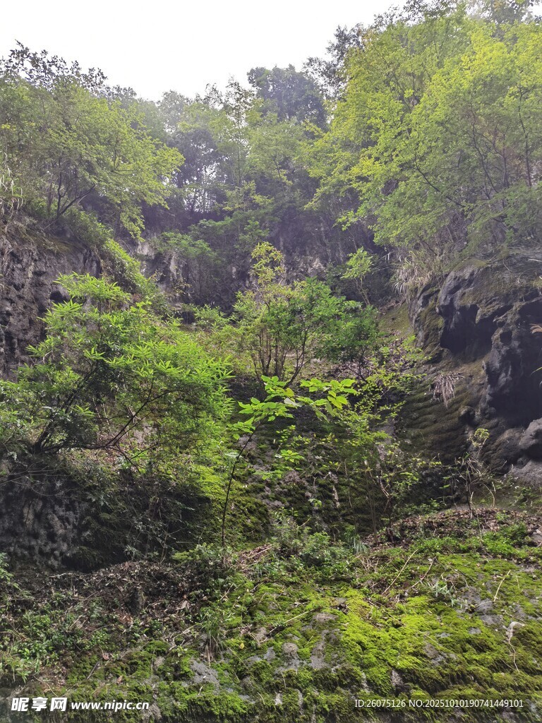 山间绿意盎然的自然景致