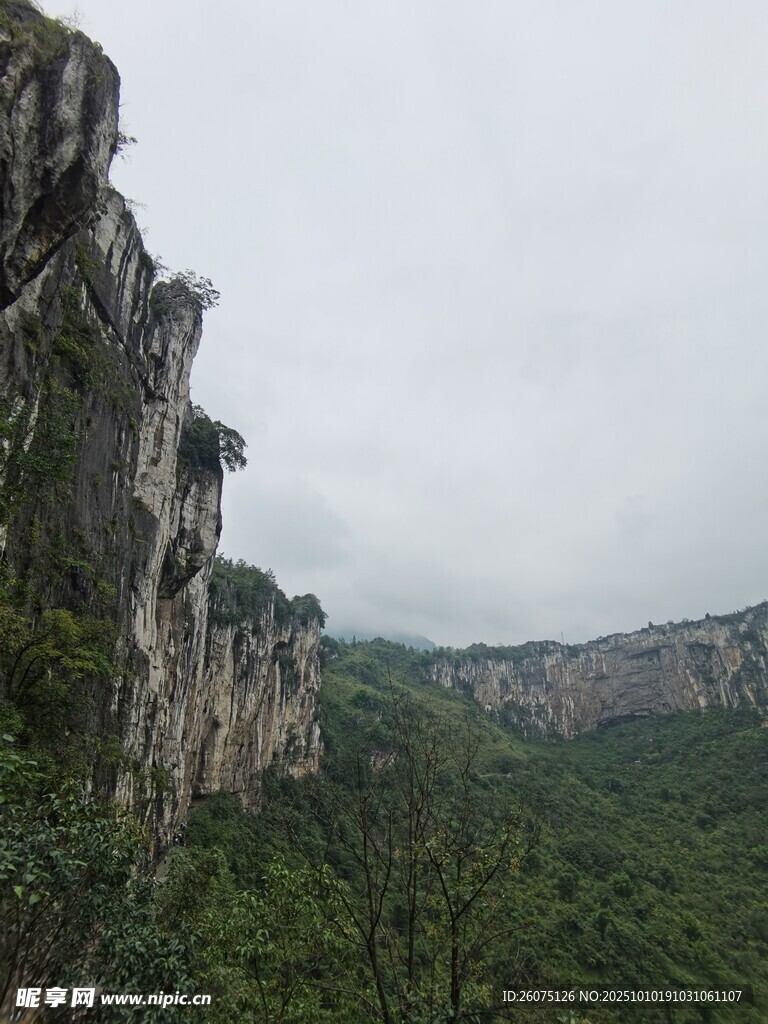 悬崖峭壁下的葱郁山林