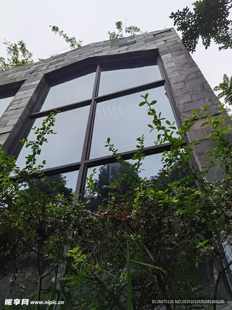 绿植环绕的现代风格建筑