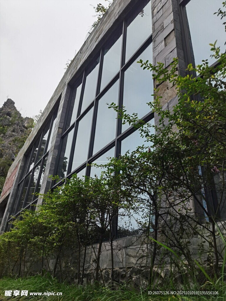 现代建筑与绿植相映成趣