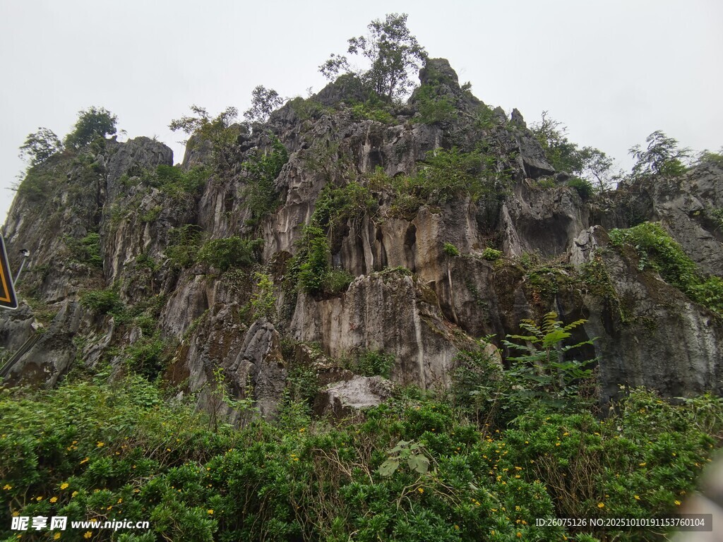 嶙峋山石间的绿意盛景