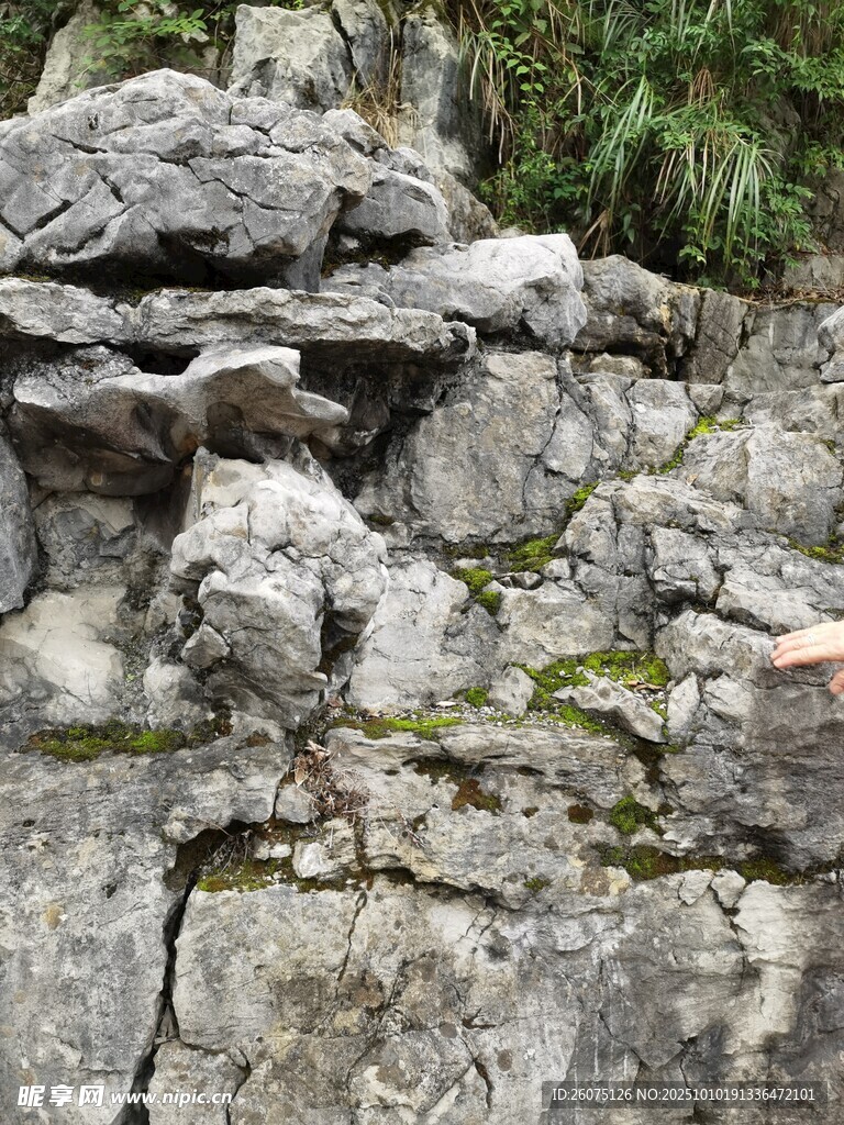 嶙峋岩石上的绿色生机