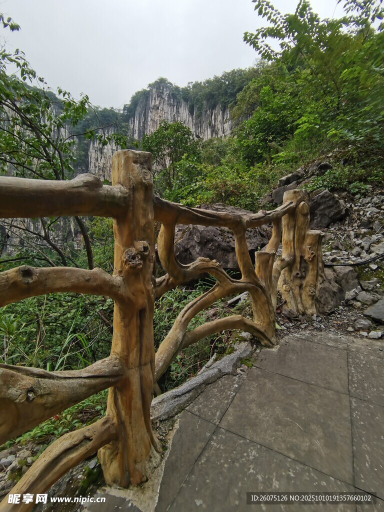 山间木质栈道自然景致