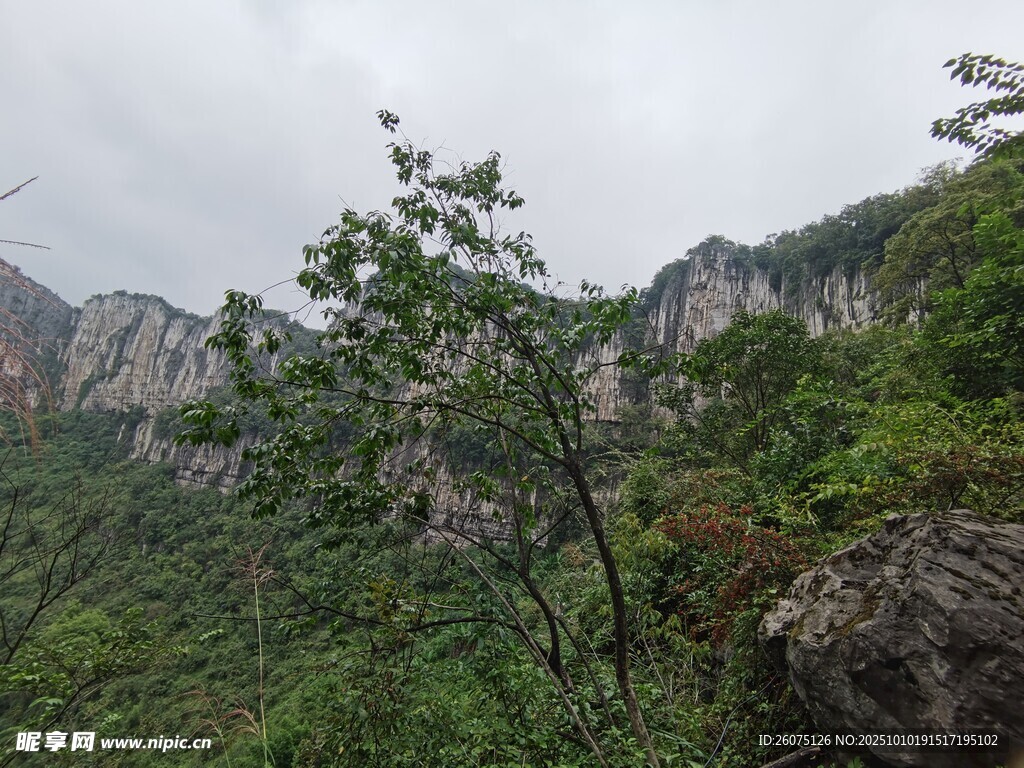 山间绿意盎然的秀丽景致