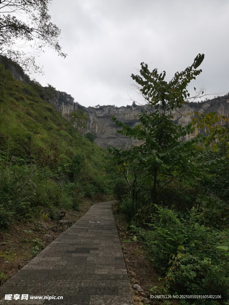 山间幽径绿植环绕的步道
