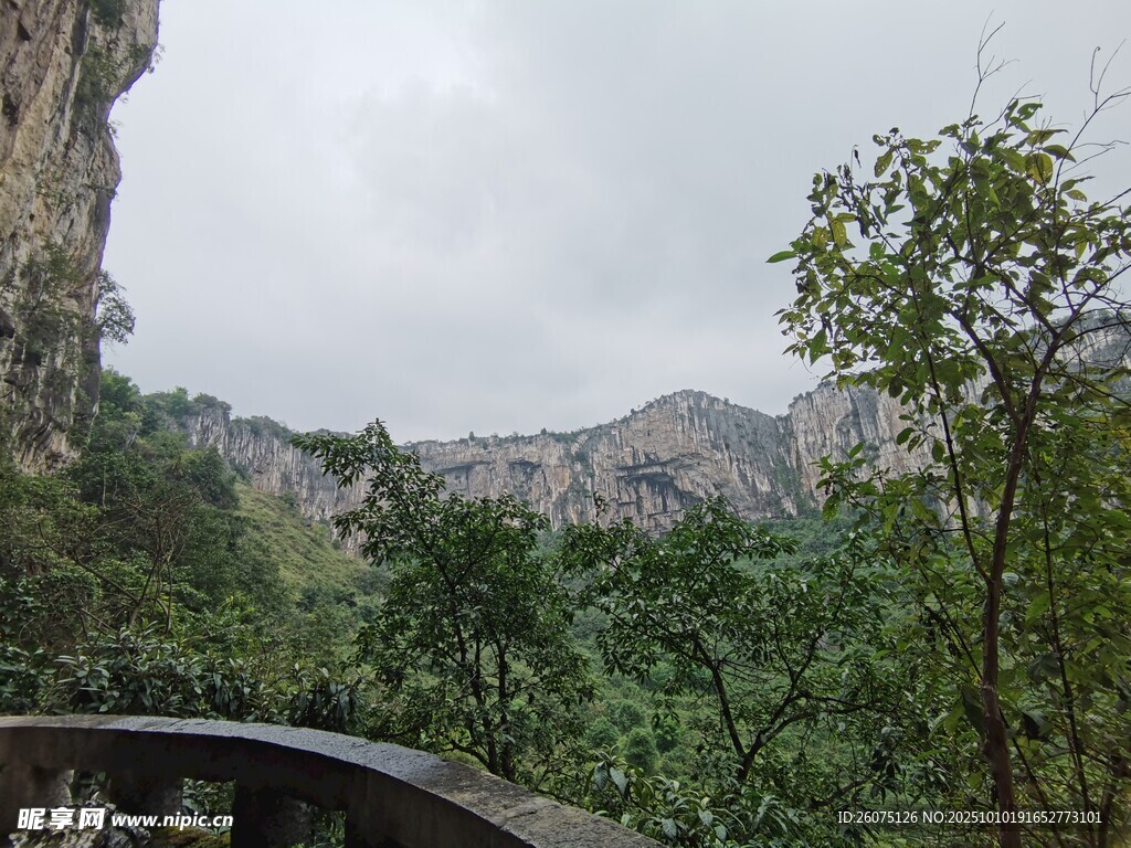 山间绿意景观