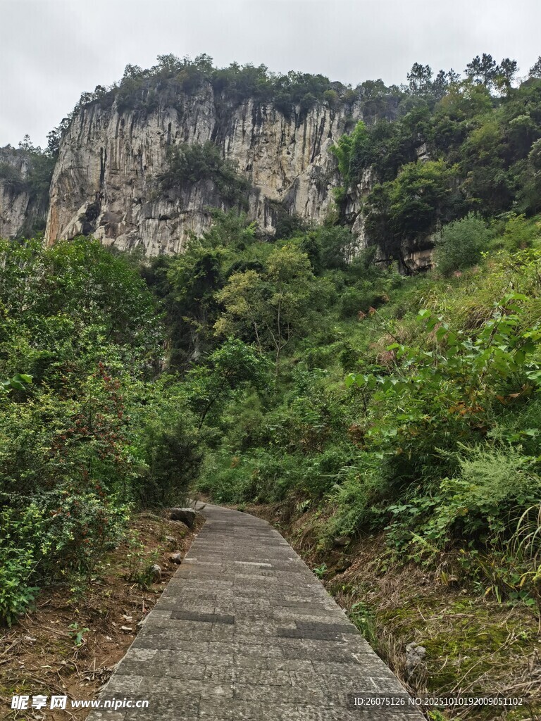 山间小径穿行于葱郁植被间