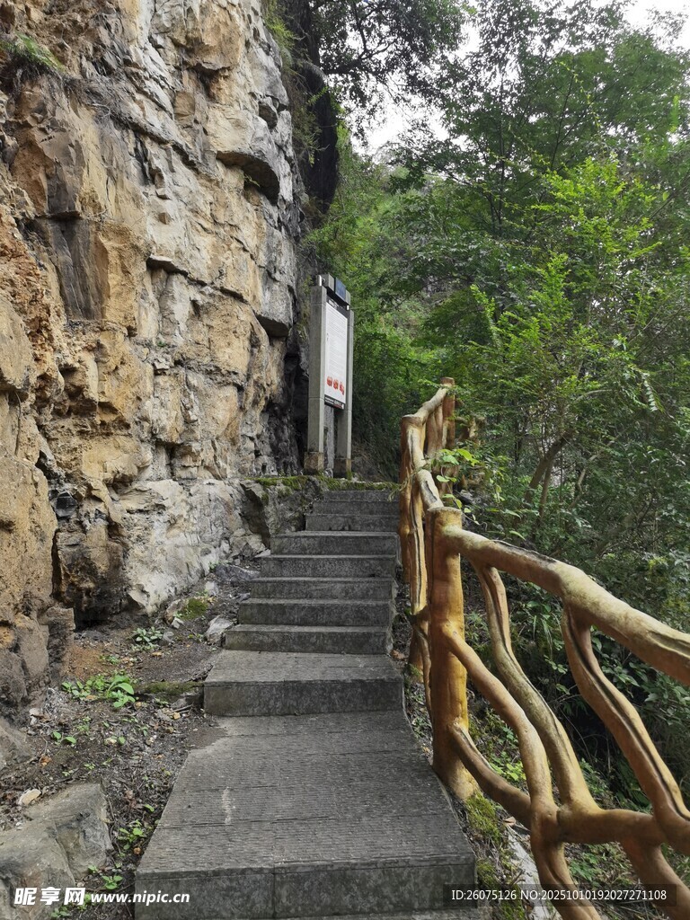 山间石阶步道自然景致