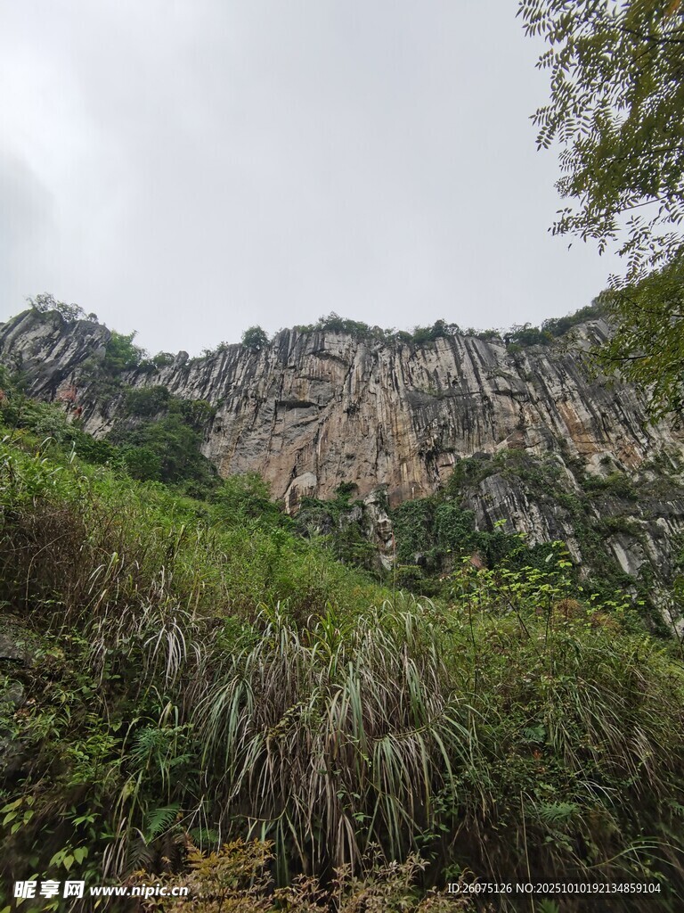 山间葱郁植被与陡峭岩壁