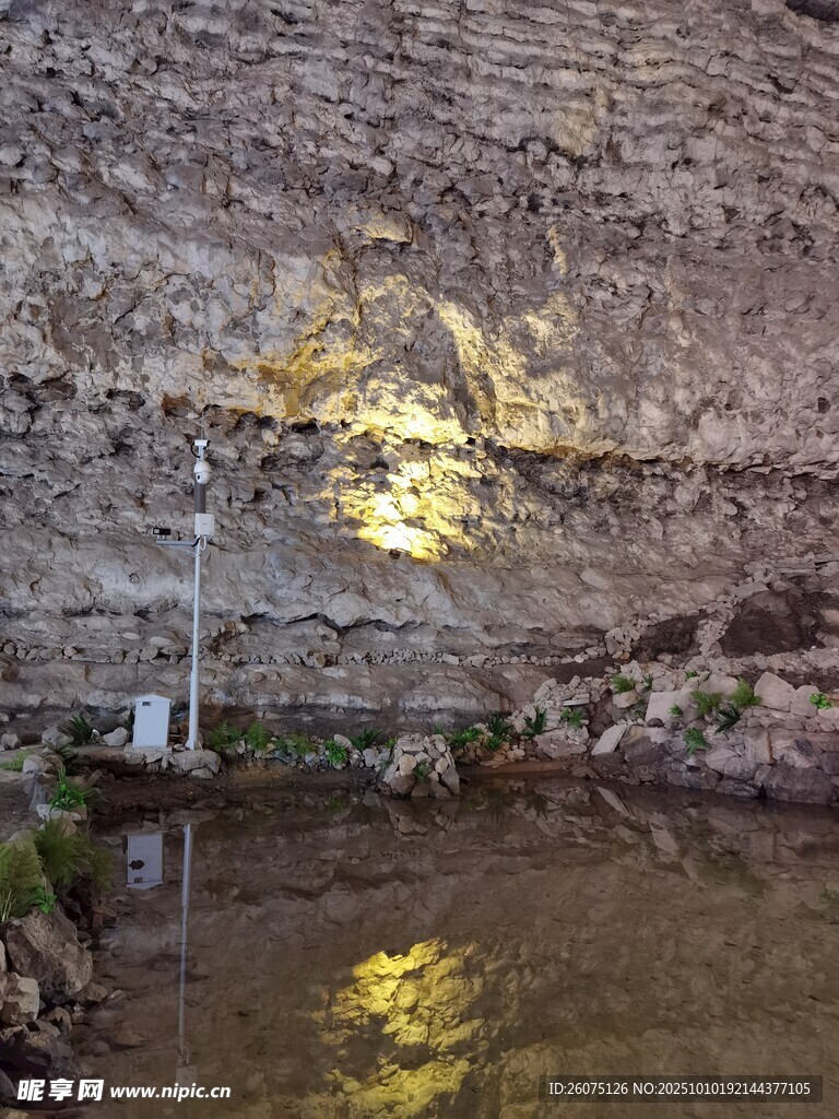 石墙旁的静谧水面与小树