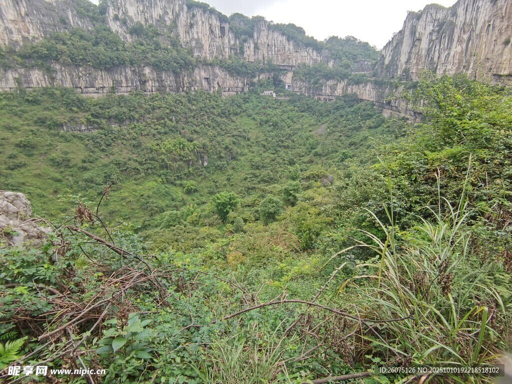 山间绿意盎然的自然景致