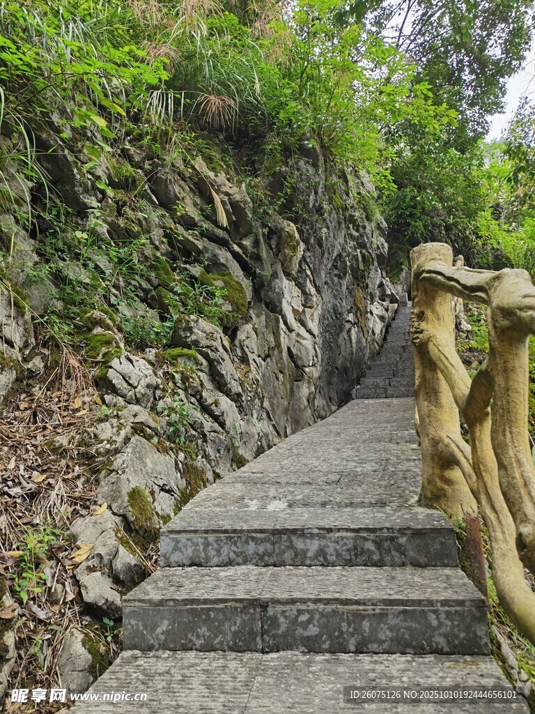 山间石阶小道自然景致