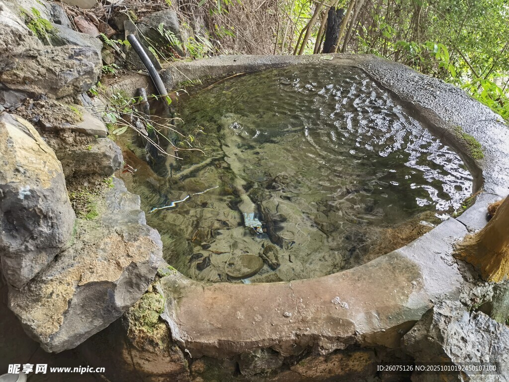 山间清泉小池