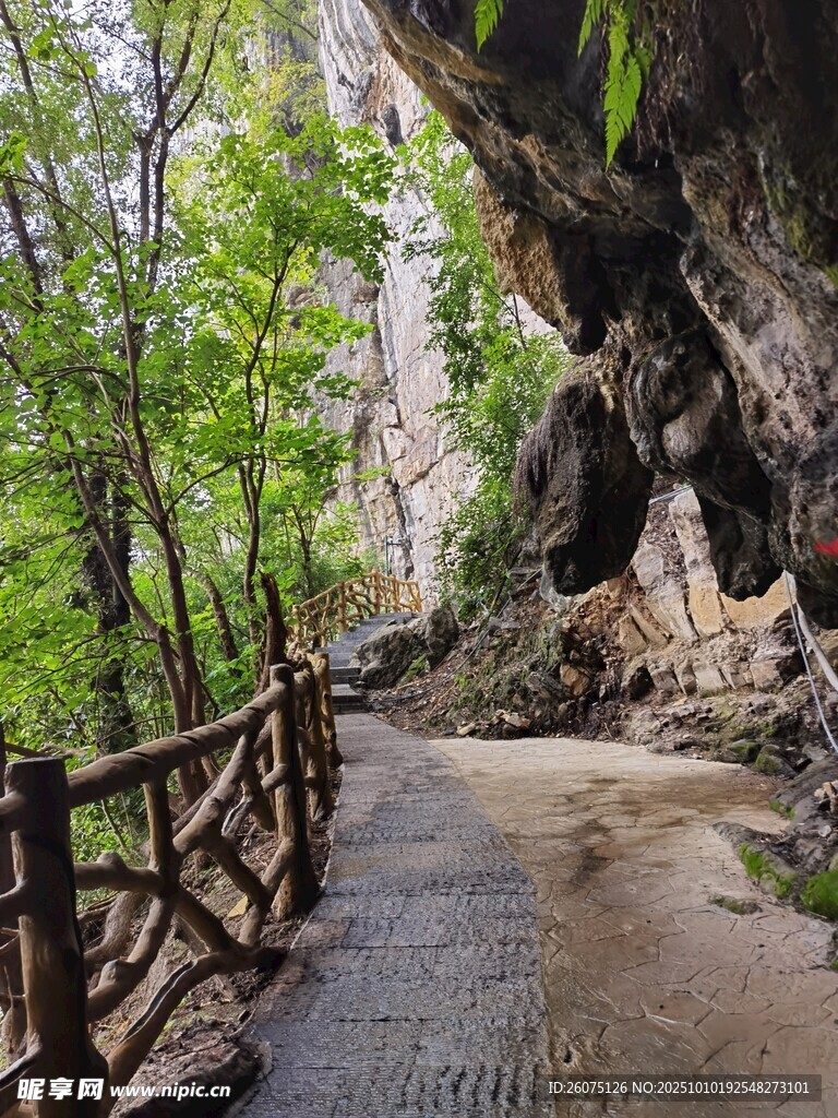 山间栈道漫步自然美景