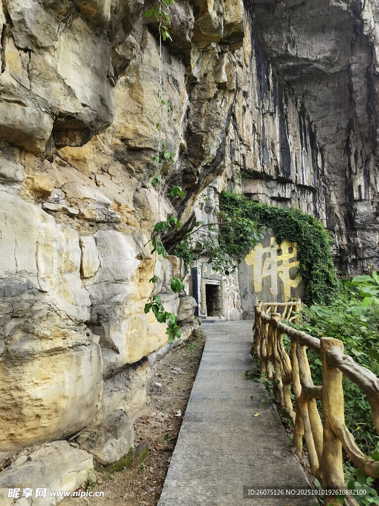 山间石径旁的自然景观