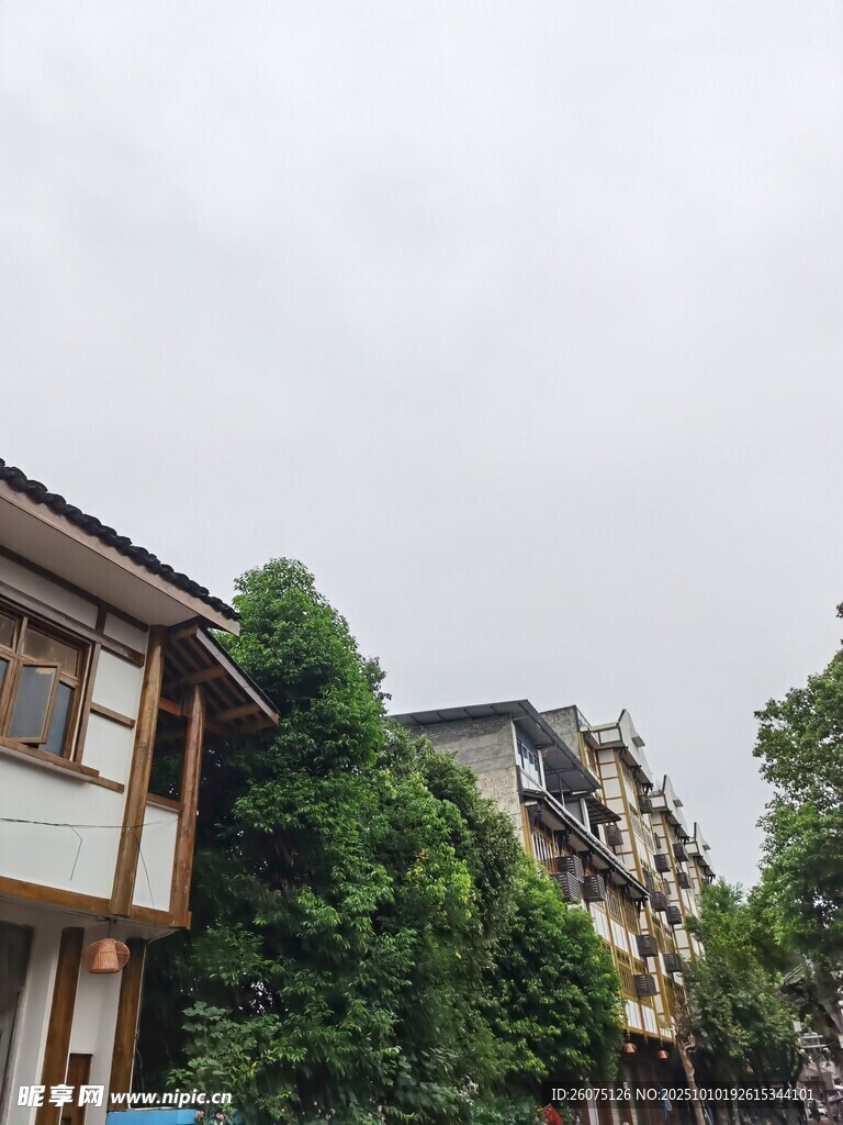 古雅民居旁的葱郁绿树