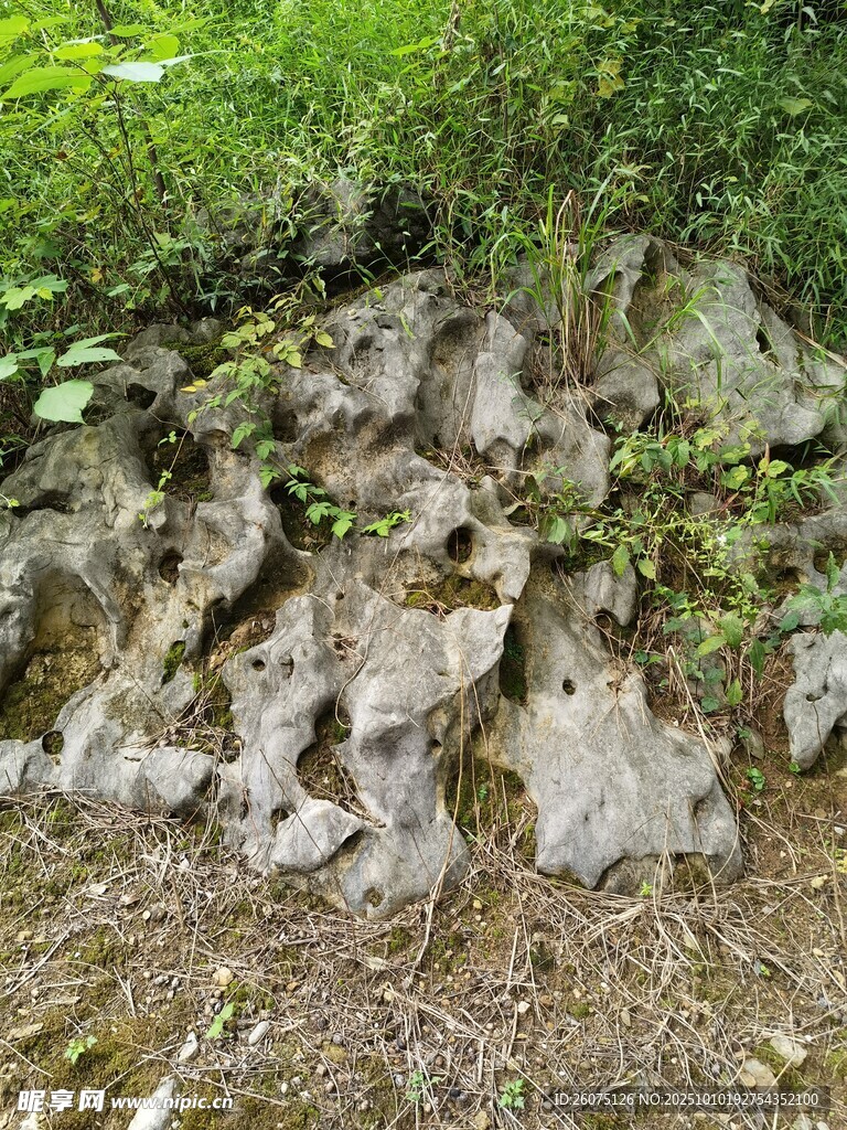 山间嶙峋怪石与绿植相伴