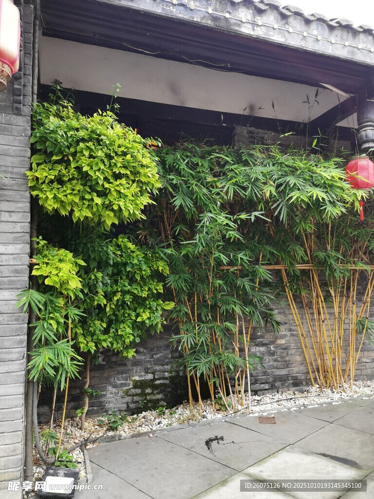中式庭院绿植景观一角