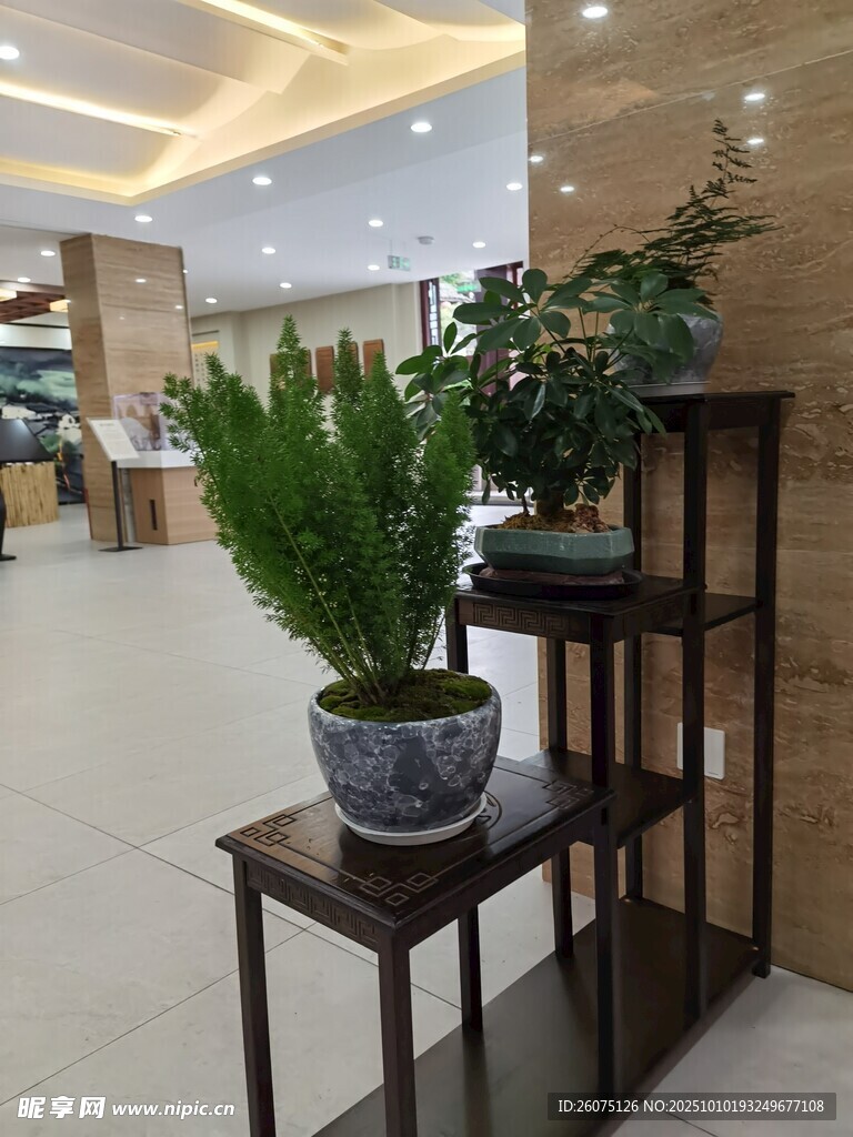 室内绿植装饰展示架摆件