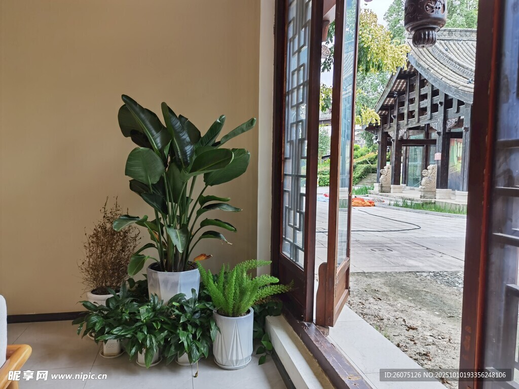 室内绿植与窗外中式景致