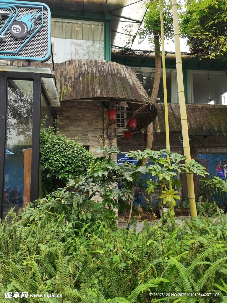 户外绿植环绕的建筑景观