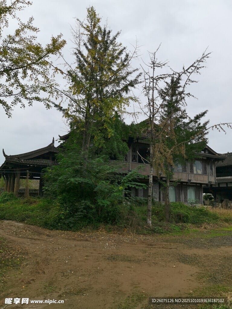 荒废的林间老旧房屋