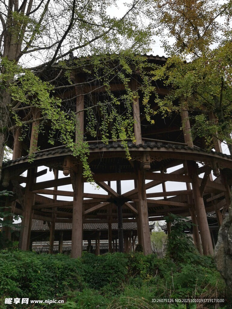 古朴木质建筑隐于绿意间